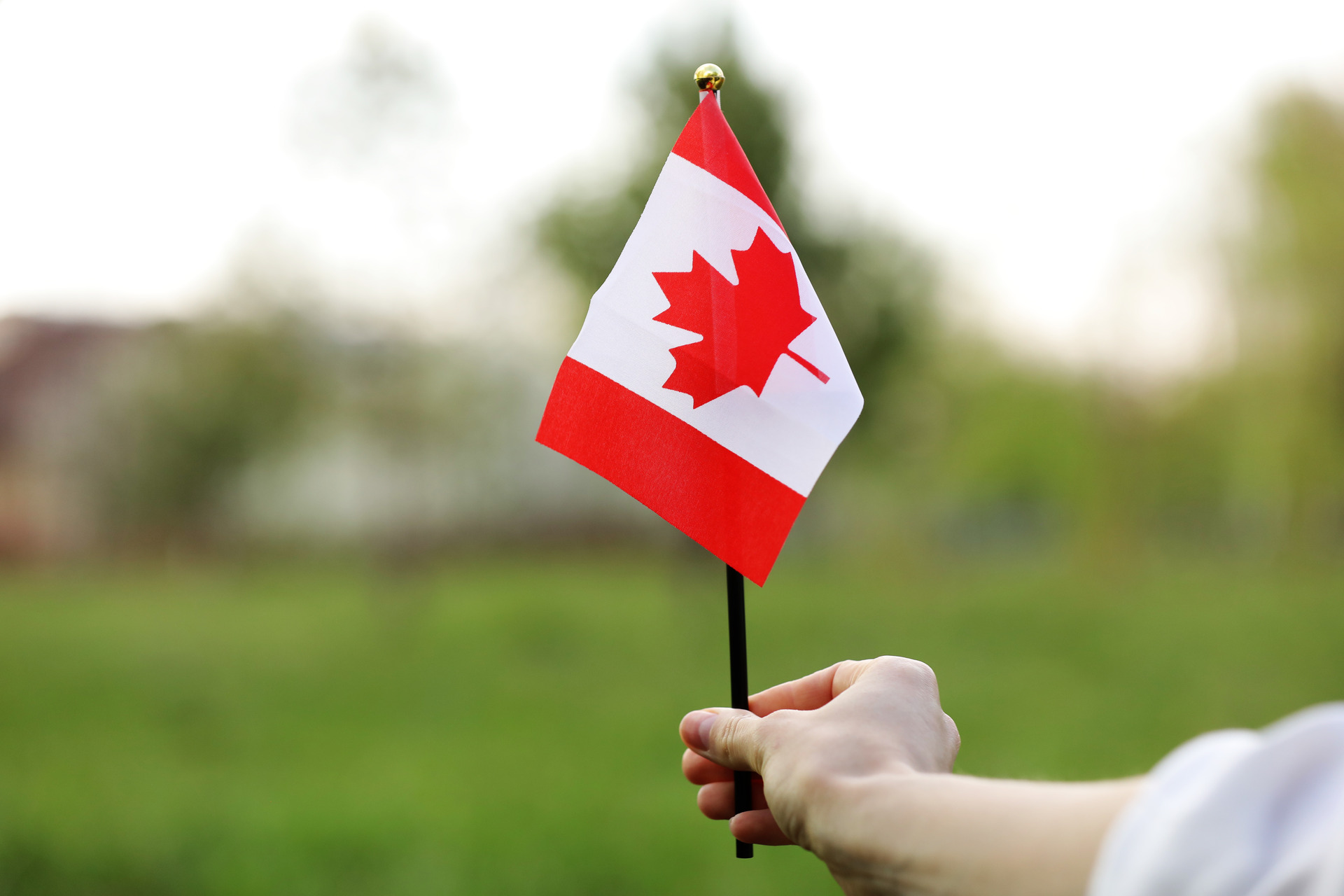 flag of canada waving