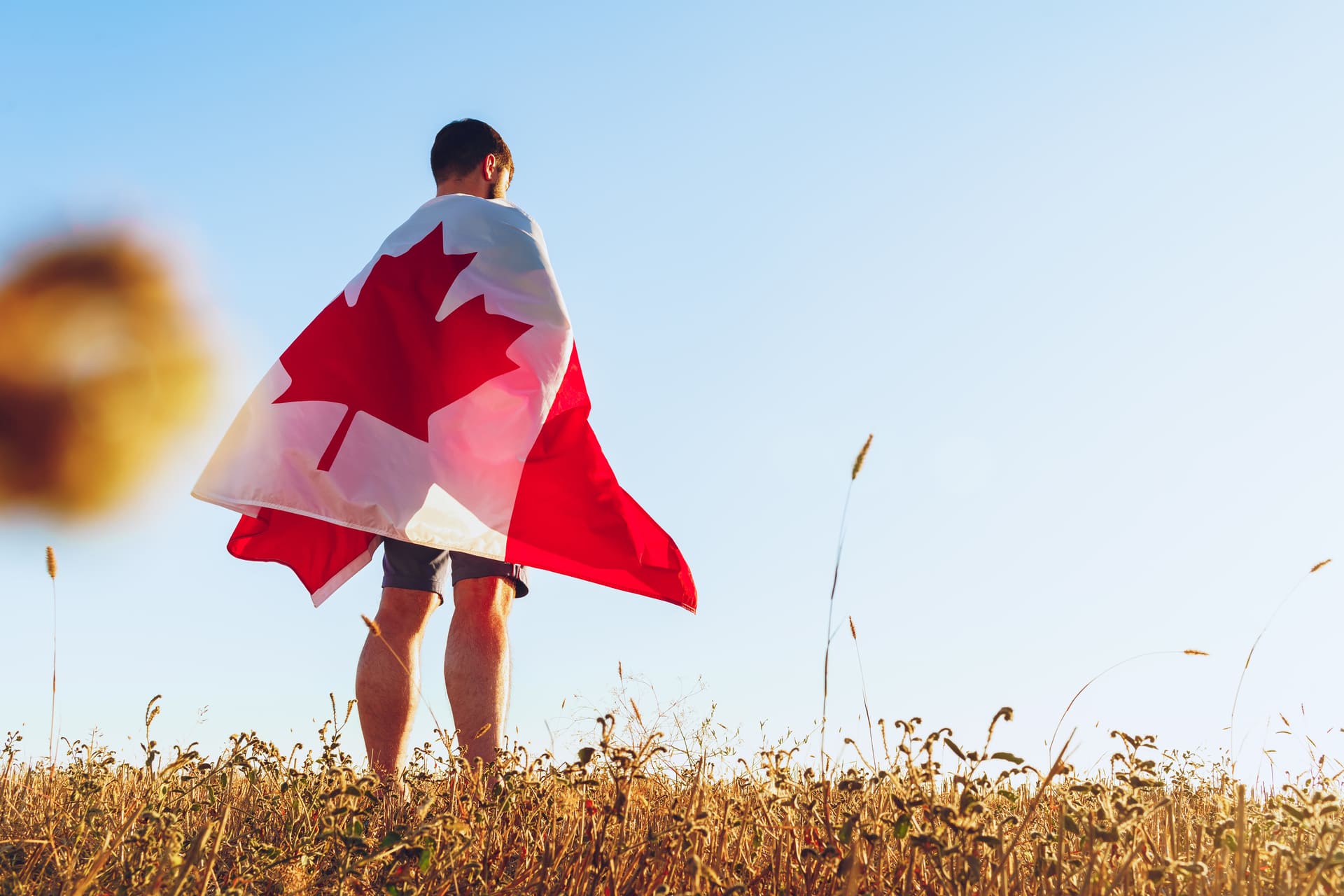 Man standing in a field draped in the Canadian flag